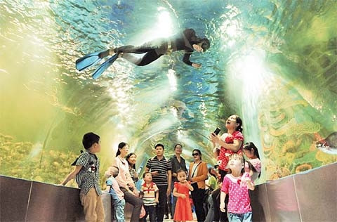 Khách du lịch tham quan khu thủy cung tại Công viên Thiên đường Bảo Sơn.