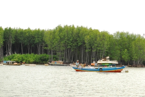 Sông Thị Vải đã trong xanh trở lại.