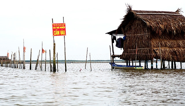 Doanh nghiệp bao ví khu bãi bồi nuôi sò huyết cản trở giao thông đường thủy, thu hẹp không gian kiếm sống của dân nghèo.