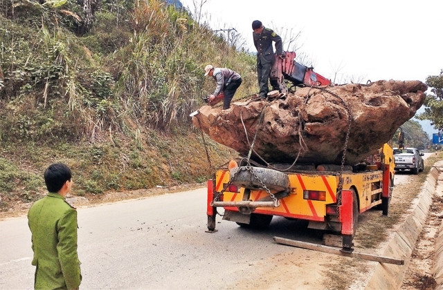 Chi cục Kiểm lâm Bắc Cạn bắt giữ vụ khai thác, vận chuyển trái phép gốc cây gù hương trị giá hàng tỷ đồng.