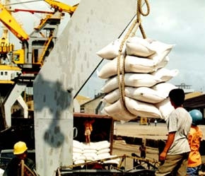 Xuất khẩu vẫn bình thường, nhập khẩu tăng cao, vì sao?