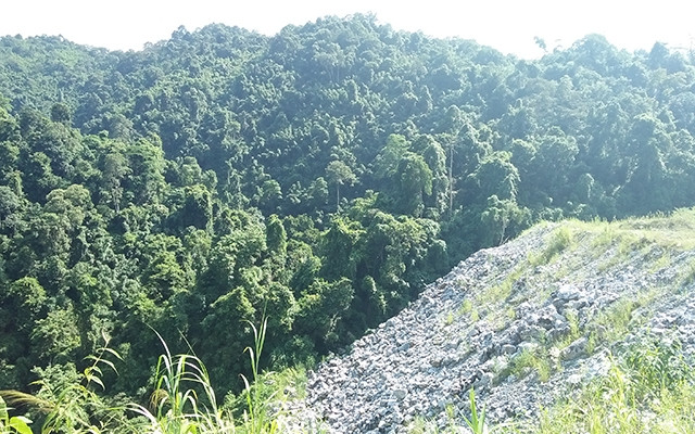 Rừng đặc dụng ở xã Thần Sa, huyện Võ Nhai bị đổ chất thải xâm hại.