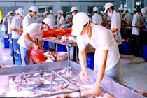 DOC sẽ giảm thuế nhập khẩu cá tra, cá ba sa với hai doanh nghiệp Việt nam