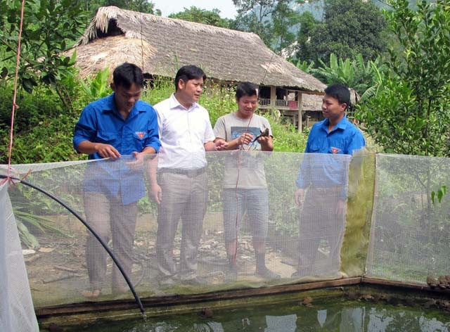 Anh Dương Văn Thu (người thứ hai từ trái sang) hướng dẫn kỹ thuật nuôi ếch thương phẩm cho đoàn viên, thanh niên. 