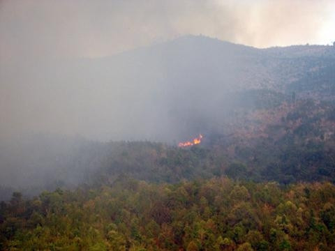 Gia Lai: Cháy gần 300 ha rừng phòng hộ