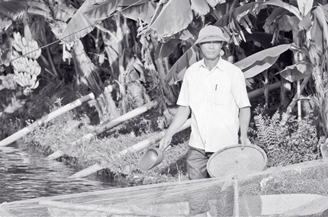 Ông Nguyễn Văn Vuông cho cá ăn.