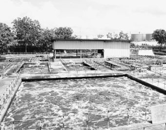 Trạm sử lý nước thải của công ty VEDAN
bơm nước thải trực tiếp ra sông Thị Vải.