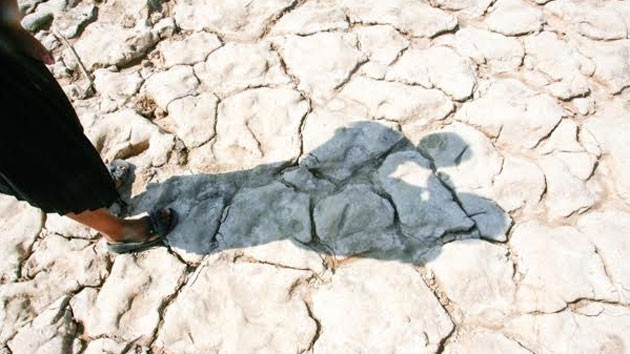 Một nông dân bế con đứng trên cánh đồng lúa bị khô hạn ở tỉnh Oddor Meanchey. (Ảnh: Thời báo Khmer)