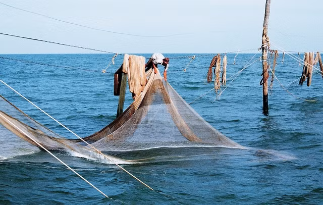 Nghề bạn chòi giữ đáy hàng khơi quá nghiệt ngã, quá nguy hiểm và cực khổ. Ảnh: Thanh Trà