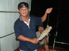 Phú Quý: Nuôi cá mú, thu chục tỷ