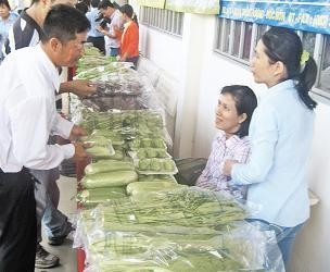 Người tiêu dùng tìm hiểu sản phẩm rau an toàn được sản xuất tại TP Hồ Chí Minh.