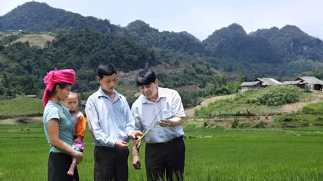 Người dân tái định cư ở bản Nà Ngua, xã Mường Lựm bên thửa ruộng được bà con sở tại san sẻ lại.