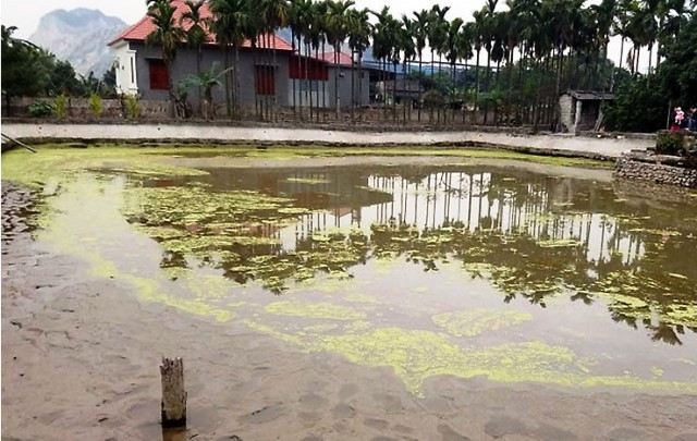 Ao nuôi cá của gia đình ông Đào Văn Đến, nơi phát hiện bãi cọc.