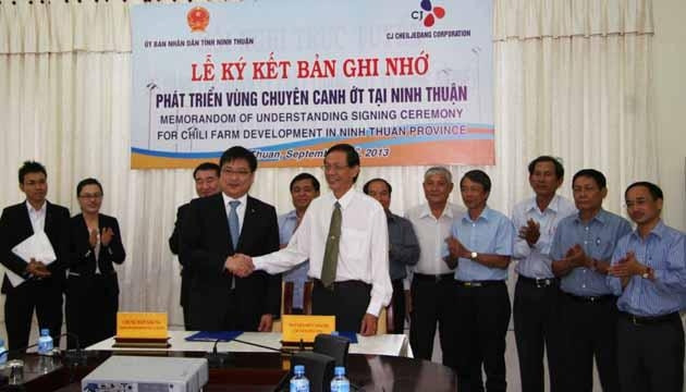 Hàn Quốc đầu tư phát triển vùng trồng ớt tại Ninh Thuận