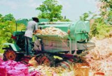 Máy tách vỏ hạt bắp do anh
Huỳnh Thái Dương chế tạo.