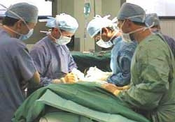 Một ca ghép tạng.