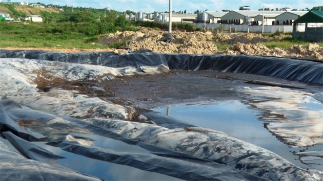 Khu vực Công ty TNHH Green Farm Asia xả thải trước khi tràn ra suối Ea Dier gây ô nhiễm môi trường.