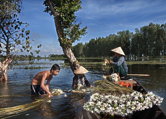 "Tháng Bảy nước nhảy khỏi bờ "