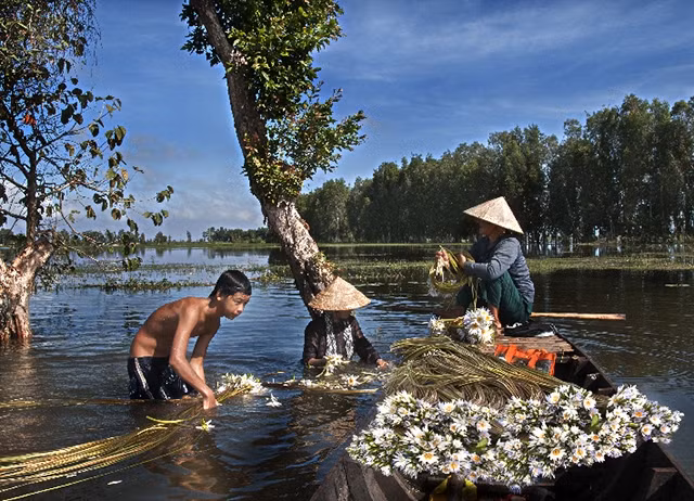"Tháng Bảy nước nhảy khỏi bờ "