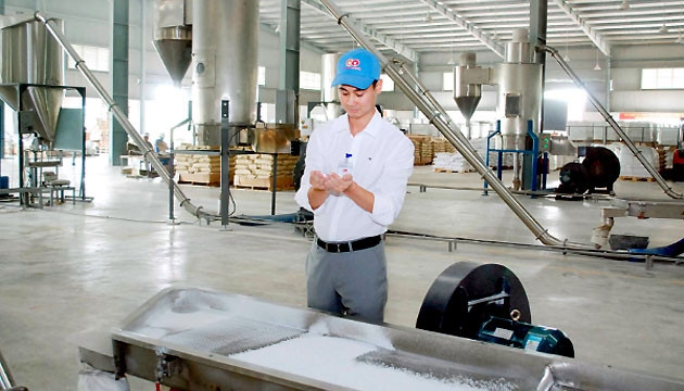 Công ty CP nhựa và khoáng sản An Phát-Yên Bái sở hữu nhà máy có dây chuyền sản xuất hiện đại, với công suất 150 nghìn tấn sản phẩm/năm.