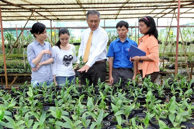 Kiểm tra sự sinh trưởng của các giống hoa lan mới lai tạo bằng công nghệ sinh học tại Trung tâm Công nghệ sinh học TP Hồ Chí Minh.