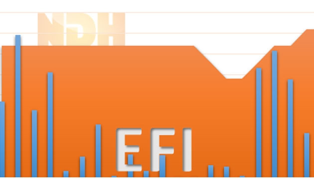 Chuyển quyền sở hữu cổ phiếu EFI