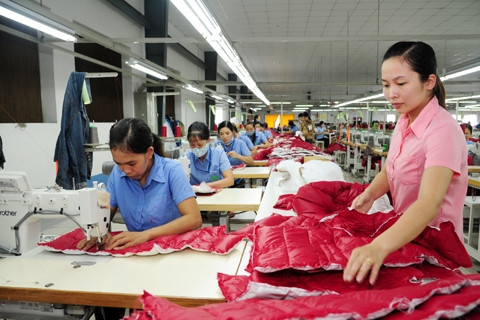 Dây chuyền may áo giắc-két của Công ty TNHH MSA YB (Tuyên Quang) 100% vốn của Hàn Quốc. Ảnh: HẢI LINH.