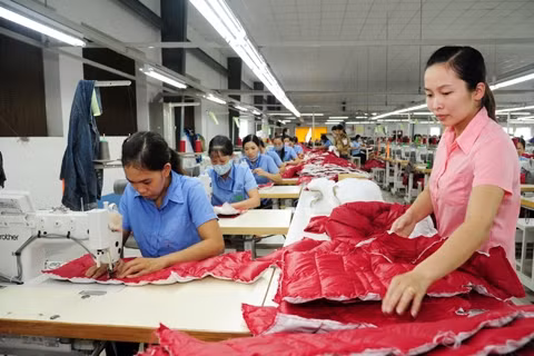 Dây chuyền may áo giắc-két của Công ty TNHH MSA YB (Tuyên Quang) 100% vốn của Hàn Quốc. Ảnh: HẢI LINH.