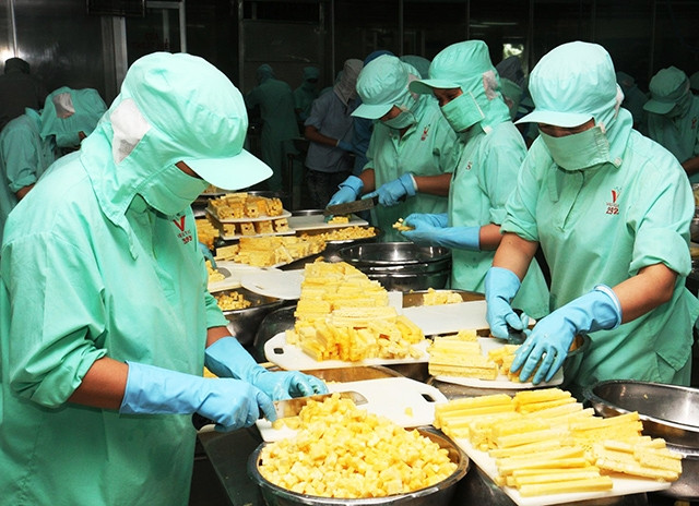 Nhiều mặt hàng nông sản thế mạnh của Việt Nam phù hợp với nhu cầu tiêu thụ của thị trường Trung Quốc.