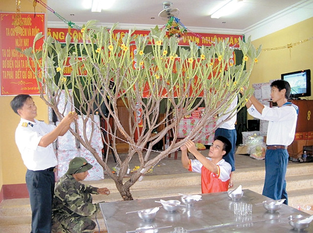 Cán bộ, chiến sĩ đảo Song Tử Tây trang trí cành mai đón Tết.
