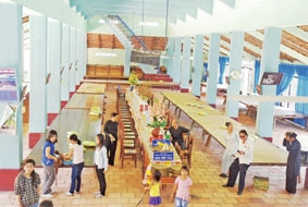 Nhà lớn ở Đảo Long Sơn