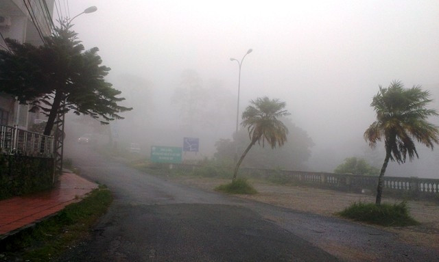 Du lịch Tam Đảo - vẫn mãi "tiềm năng"