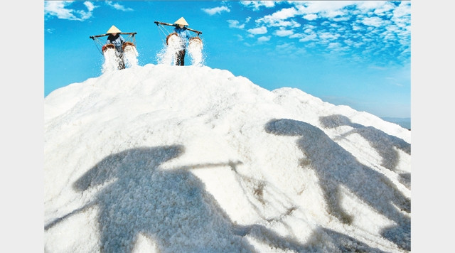 Tác phẩm Dưới nắng, tác giả Đặng Kế Đông - HCB ISF trong cuộc thi nhiếp ảnh quốc tế VN15 do FIAP bảo trợ.