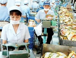 Dây chuyền sản xuất, đóng gói cà-phê
ở Vinacafé Biên Hòa.