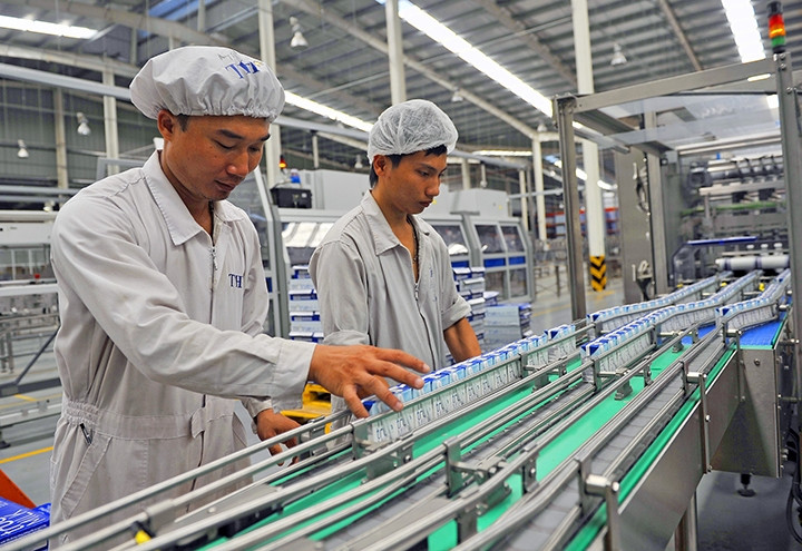 Dây chuyền sản xuất sữa tại Công ty cổ phần Thực phẩm sữa TH true milk. Ảnh: TRUNG PHONG
