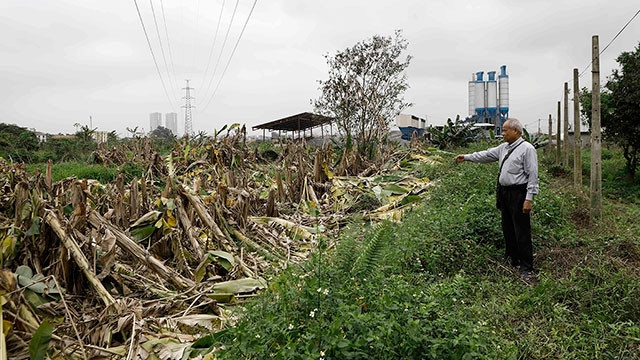 Ông Nguyễn Văn Thắng lo lắng di chỉ Vườn Chuối sẽ bị san lấp. Lo lắng đó đã được giải tỏa phần nào.