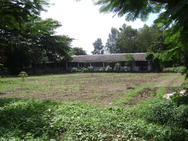 Một khu đất thuộc Dự án Khu đô thị Sen Vàng vẫn còn đang bỏ trống.