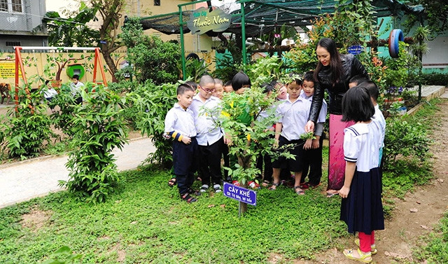 Cô và trò Trường tiểu học Núi Thành trong giờ học kỹ năng tại vườn thuốc nam trong khuôn viên trường.