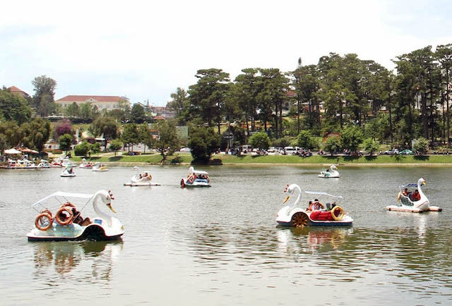 Du ngoạn thiên nga trên hồ Xuân Hương – Đà Lạt.