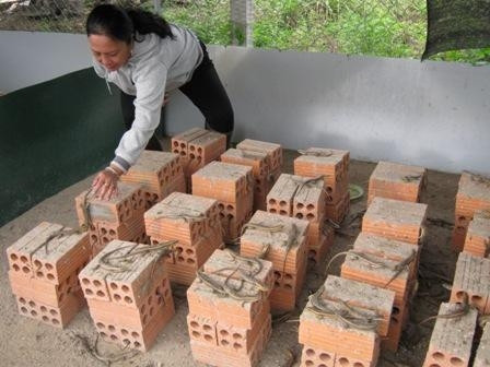 Chị Trần Thoại Phương đang kiểm tra trang trại nuôi rắn mối