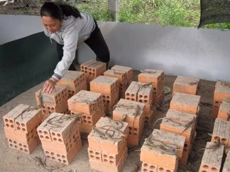 Chị Trần Thoại Phương đang kiểm tra trang trại nuôi rắn mối