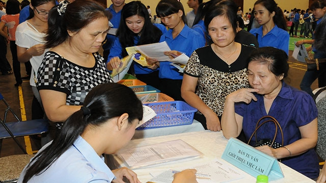 Lao động cao tuổi có lợi thế kinh nghiệm và kỹ năng làm việc.