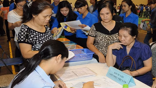 Lao động cao tuổi có lợi thế kinh nghiệm và kỹ năng làm việc.