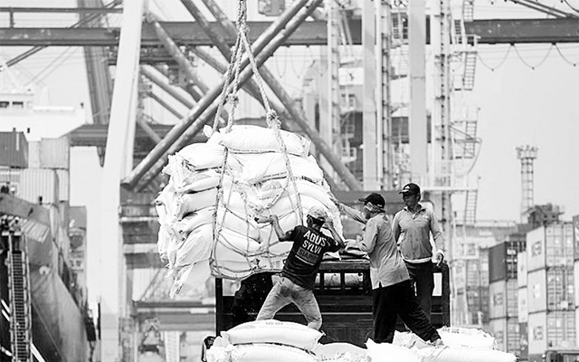 Công nhân làm việc tại cảng biển ở thủ đô Jakarta, Indonesia. Ảnh Reuters