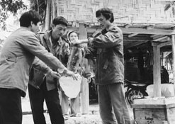 Anh Lã Quý Tuấn (người bên phải)
thu hoạch mật ong.