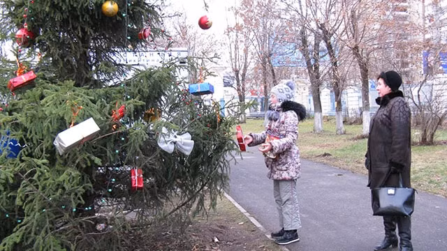 Mùa đông không tuyết ở “xứ bạch dương”