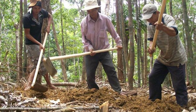 Mặc dù chính quyền có nhiều biện pháp ngăn chặn, nhưng người dân vẫn đổ xô vào rừng tìm trầm.