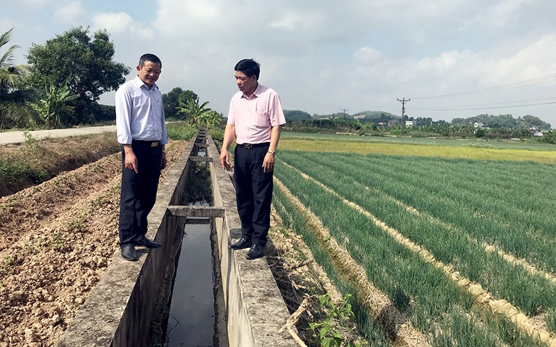 Kiểm tra công trình thủy lợi tại xã Bạch Ðằng, huyện Kinh Môn (Hải Dương).