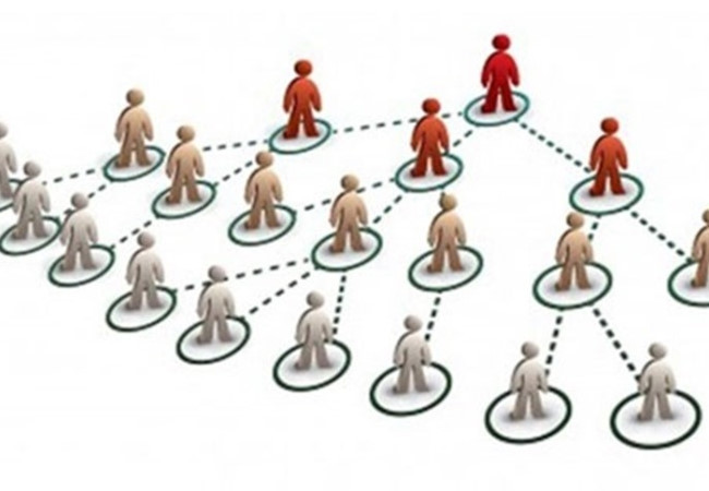 Chấm dứt hoạt động hai công ty đa cấp Zija Quốc tế và Zogo