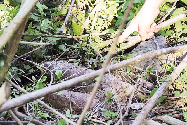 Những quả bom mới được phát hiện trên đồi Cồn Tiên. 